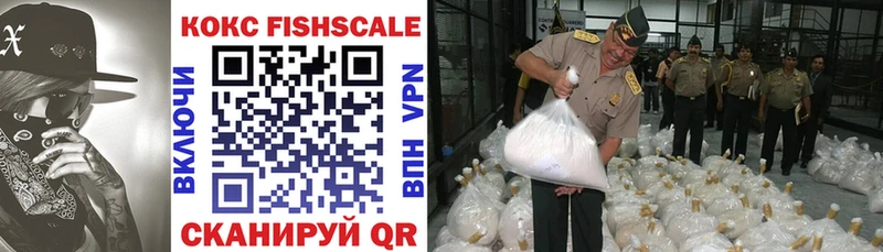 Купить где  Закаменск  КОКАИН Fish Scale 