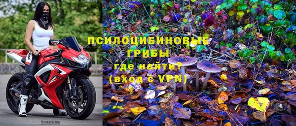 эйфоретик Кинешма
