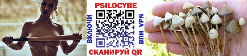 Купить закладки  Закаменск  Галлюциногенные грибы мицелий 